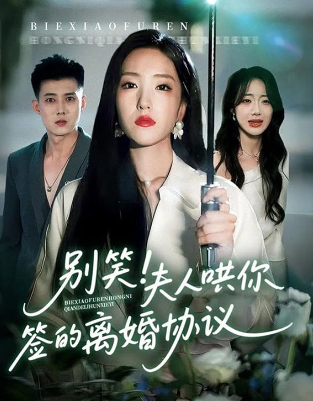 别笑夫人哄你签的离婚协议 - 第74集完结_学术文化解析_诗琪热剧-影影网